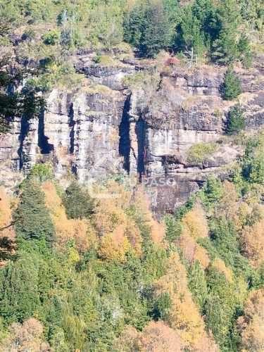 PARCELA Ecoparque del Llaima