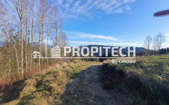 VENTA PARCELA 5000M2, LOS TALLOS, PANGUIPULLI.