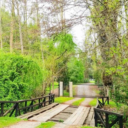 Venta de parcelas de agrado sustentable