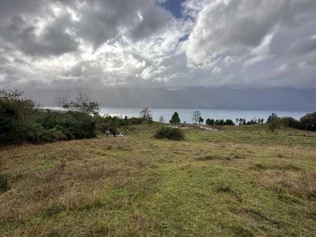 Hermosa Parcela Loteo Quebrada Riñihue