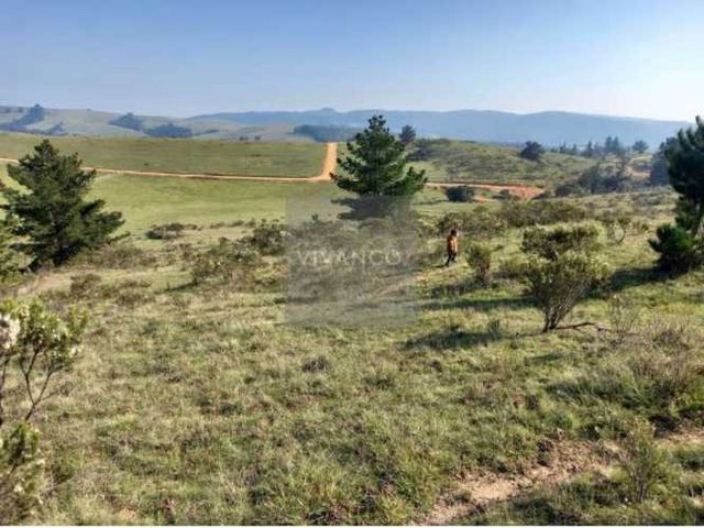 PARCELA Hacienda Bucalemu