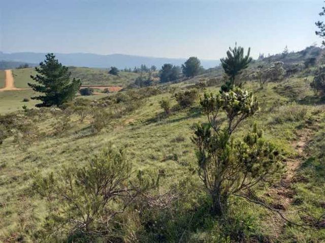 PARCELA Hacienda Bucalemu