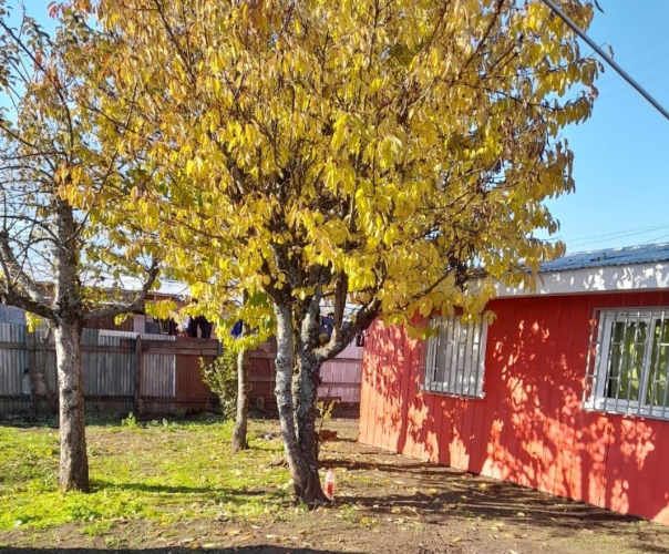 CASA Cherquenco, Vilcún a 60 minutos de Temuco