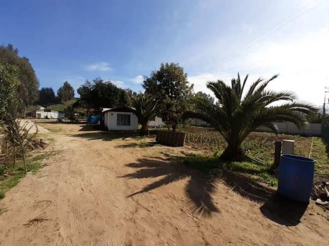 SITIO lider puchuncavi