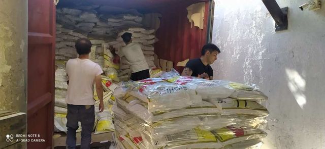 Servicio de Peonetas/Cuadrillas Para Carga y Descarga de Contenedores