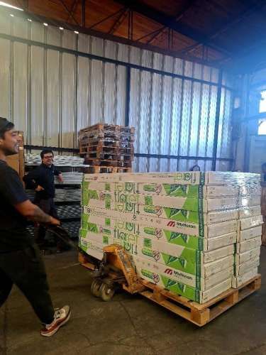 Servicio de Peonetas/Cuadrillas Para Carga y Descarga de Contenedores