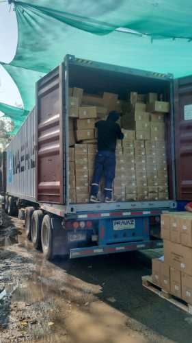 Servicio de Peonetas/Cuadrillas Para Carga y Descarga de Contenedores