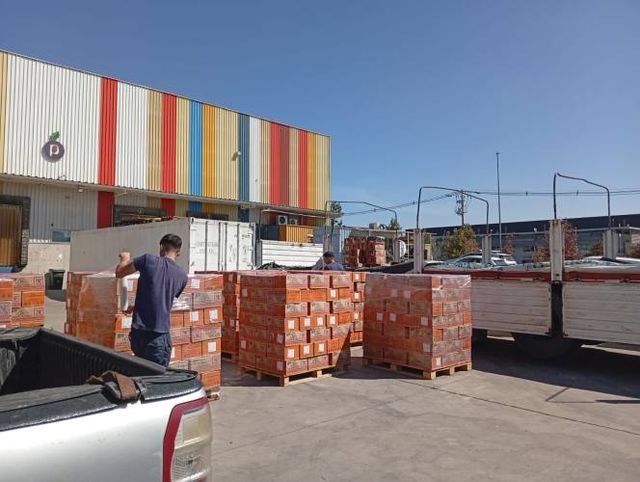 Servicio de Peonetas/Cuadrillas Para Carga y Descarga de Contenedores