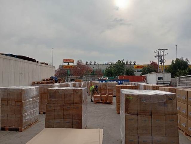 Servicio de Peonetas/Cuadrillas Para Carga y Descarga de Contenedores