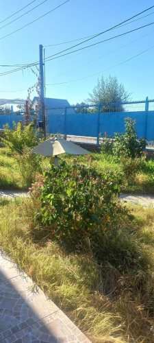 CASA a 7 kilómetros de la plaza de San Javier por el Colegio Miguel Carrera