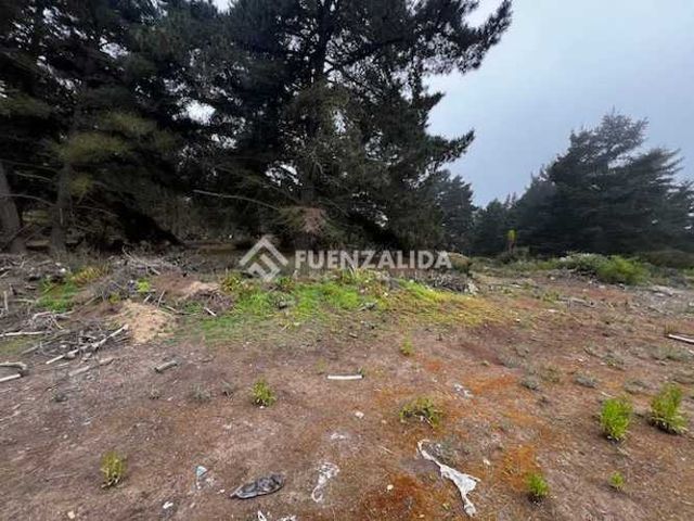 TERRENO CONSTRUCCION Llanquihue - Los Pinos - Reñaca - Concon