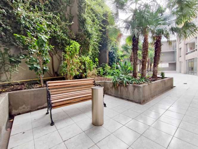 San Isidro 19 [2117-1]