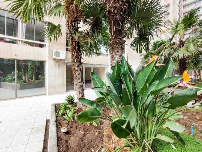 San Isidro 19 [2117-1]