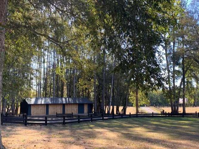 SITIO Camino villarrica - loncohe