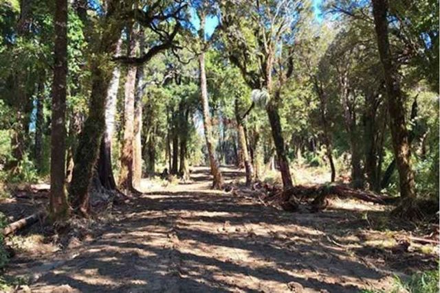 Oportunidad terreno / 2 ha. divididas en 4 lotes