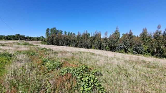 Parcela 1 Hectárea en Mafil