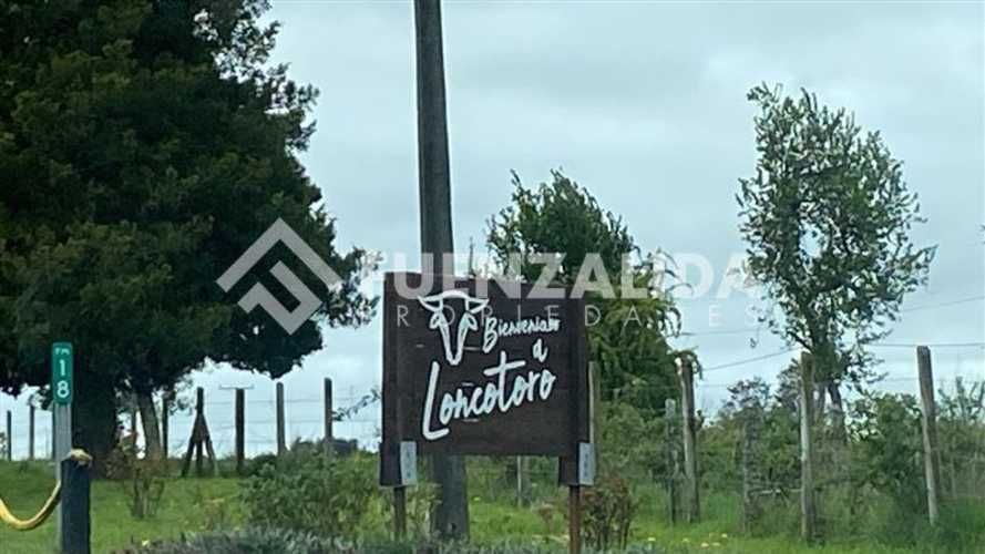 PARCELA Loncotoro
