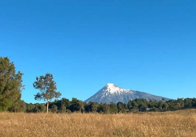 Venta Parcela de 2,1 Hectáreas en Puerto Octay ya Regularizada