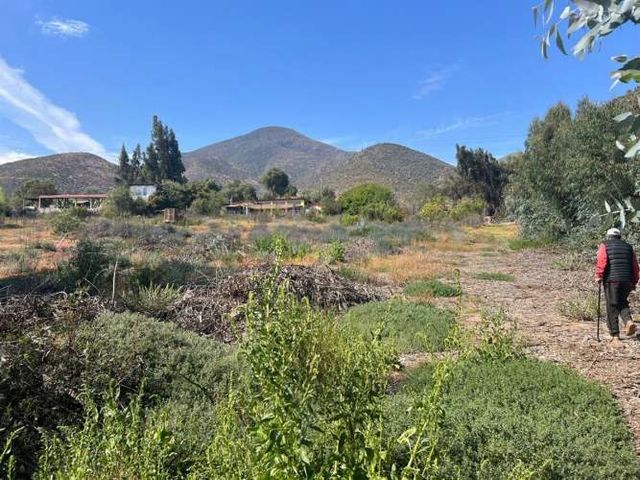 SITIO Camino a pisco de elqui