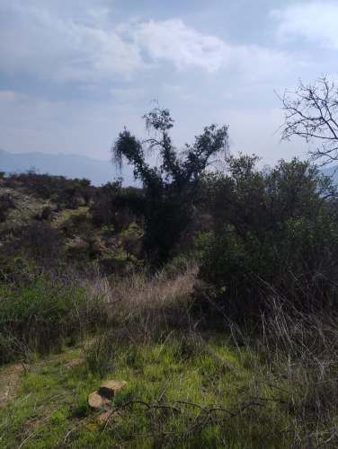 Por viaje vendo parcela Con Casa Amoblada, Piscina, 3d 2b Regularizada