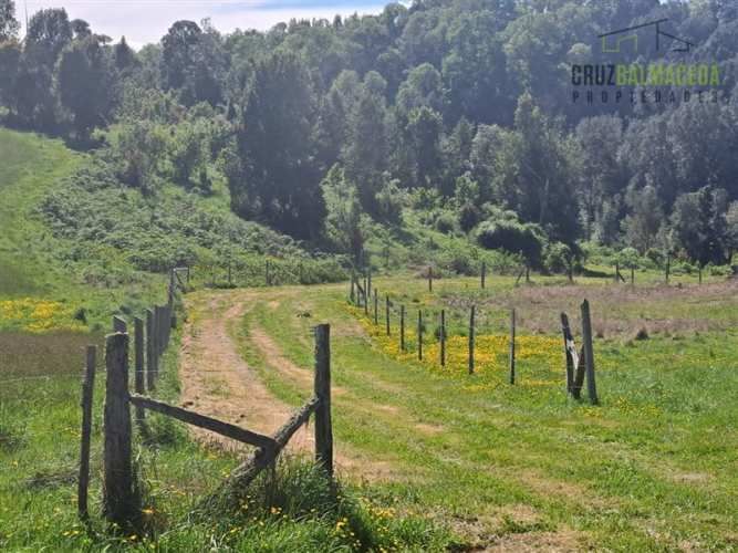 PARCELA Loncotoro condominio Loncotorolivin