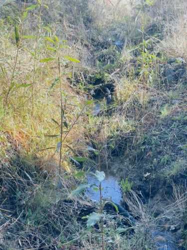 PARCELA Altos de Pid Pid