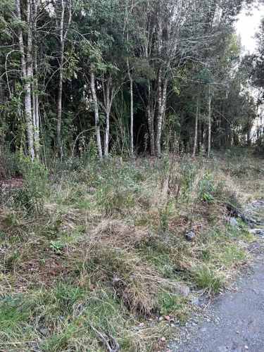 PARCELA Altos de Pid Pid