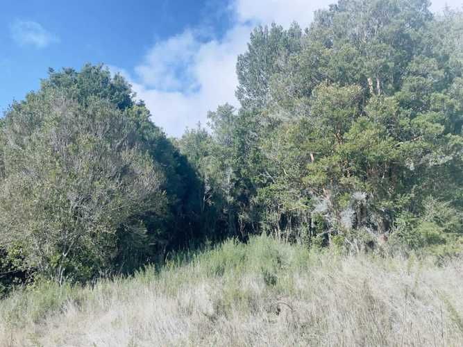 PARCELA Altos de Pid Pid