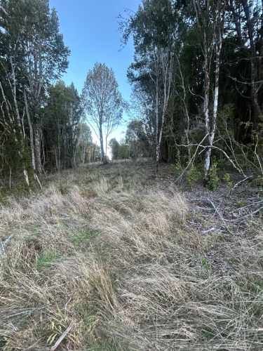 PARCELA Altos de Pid Pid