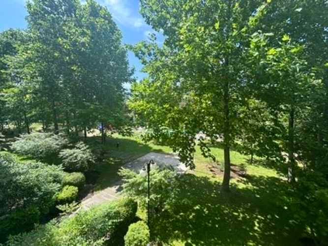 DEPARTAMENTO Cantagallo