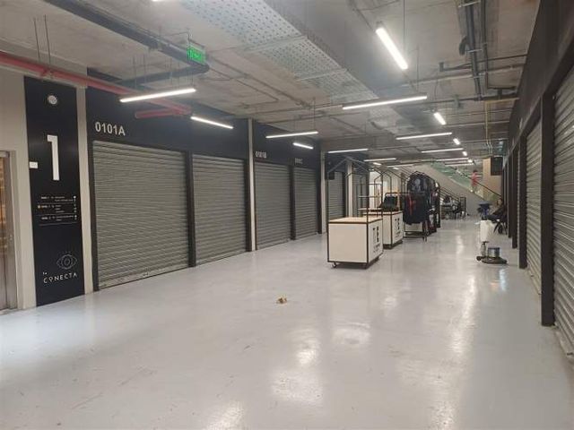 LOCAL COMERCIAL General Holley