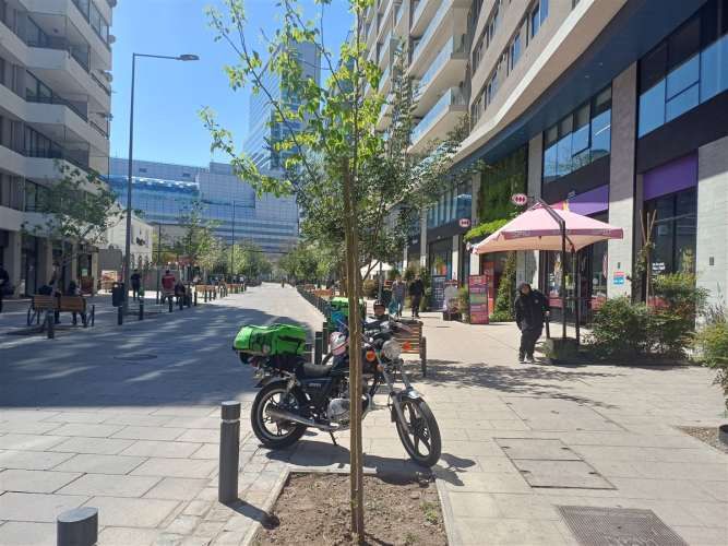 LOCAL COMERCIAL General Holley