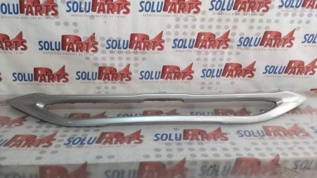 EMBELLECEDOR DELANTERO PARA GAC GS4 POWER