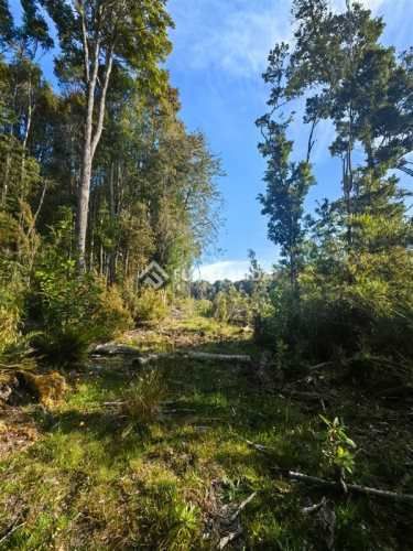 PARCELA Altos de Lauca