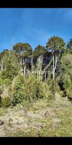 PARCELA Altos de Lauca