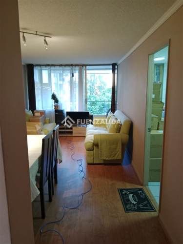 DEPARTAMENTO Walker Martínez / La Araucania