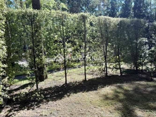 DEPARTAMENTO Edificio Los Coihues de Pucón