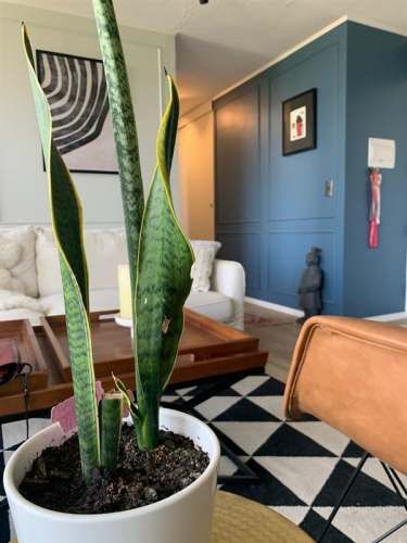 DEPARTAMENTO Rotonda Quilin