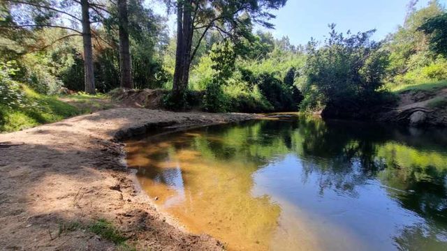 Parcelas Sector Piedra Blanca Alto