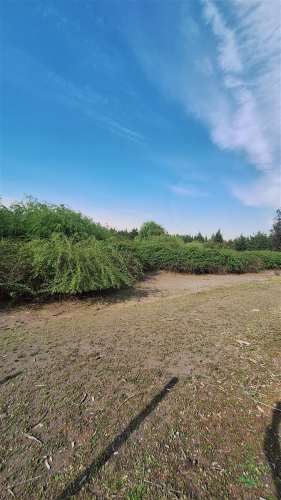 PARCELA Ruta Q-15 Camino Paraguay, Saltos del Laja, Los Angeles