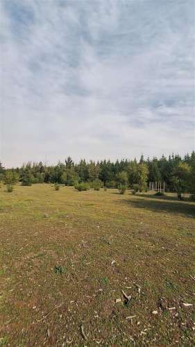 PARCELA Ruta Q-15 Camino Paraguay, Saltos del Laja, Los Angeles