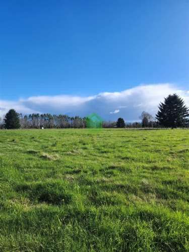 PARCELA sector Pelchuquín