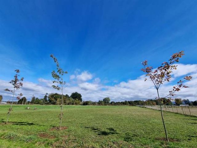 PARCELA sector Pelchuquín