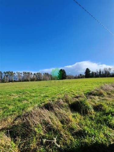 PARCELA sector Pelchuquín