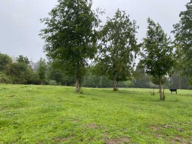 PARCELA Fundo Cuesta Soto