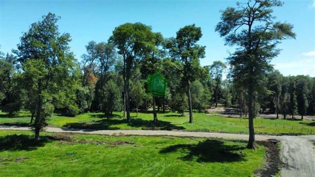 PARCELA Km 42 Ruta 215 Entrelagos, Puyehue