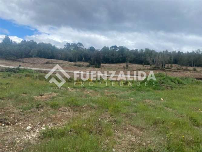 INDUSTRIAL Ruta V-815