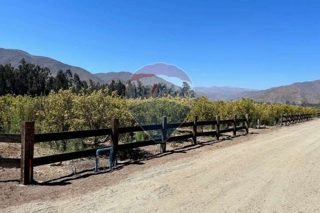 Ultima unidad ruta 41, luz, agua y rol propio