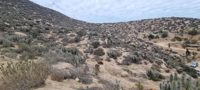 Vendo Extenso Terreno en Valle del Elqui  (62759)