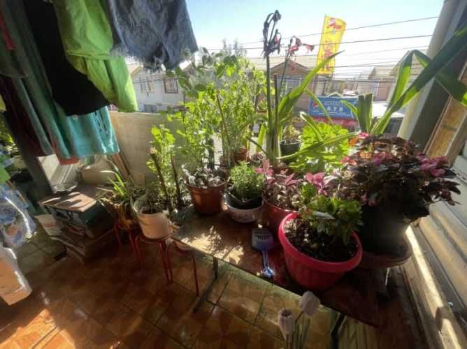 Casa EL CEDRO CON ROMA